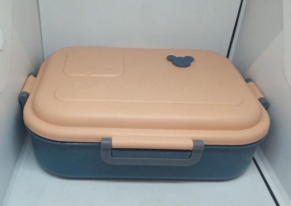 2 partition Stainless Steel lunch box